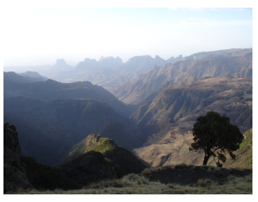 Check out WOCAT's upcoming May meeting in Ethiopia - Only 2 more days for the registration deadline!! Great place to #learn and exchange tips on #SustainableLandManagement &amp; #farming 

wocat.net/library/media/…