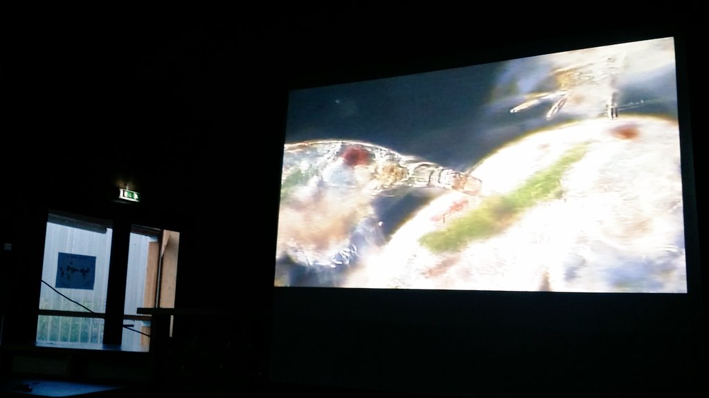 #PierreMOLLO nous fait la joie d'être parmi nous à #Nantes pour nous parler de #plancton et de #Spiruline. On parle de #transmission, d'#AlimentationDurable, d'#aquaculture, de partage des connaissances, de #jeunesse et des enjeux autour de la #biodiversite marine et aquatique !