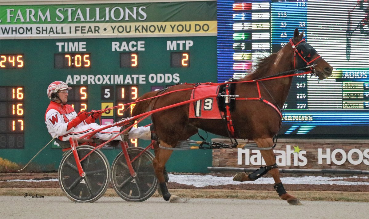 hoosiernations's tweet photo. GoodMorning @Chris_wponies @JoannKi32885615 @rebelsart @jtlburn @kimberlymoier @GlenPeckinpaugh @KathleenBaitzel @joe_norte @blongphee67 @elliotgordon2 @musicalhossgal @musicalhossgal @SadandSulk @tlvonline @miller_marijane @HoP_Racing #CowboyMathis #ToddWarren #PlayHP https://t.co/RYhKh6oAfY
