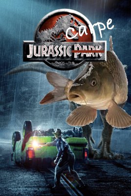 StartupOnly tweet media