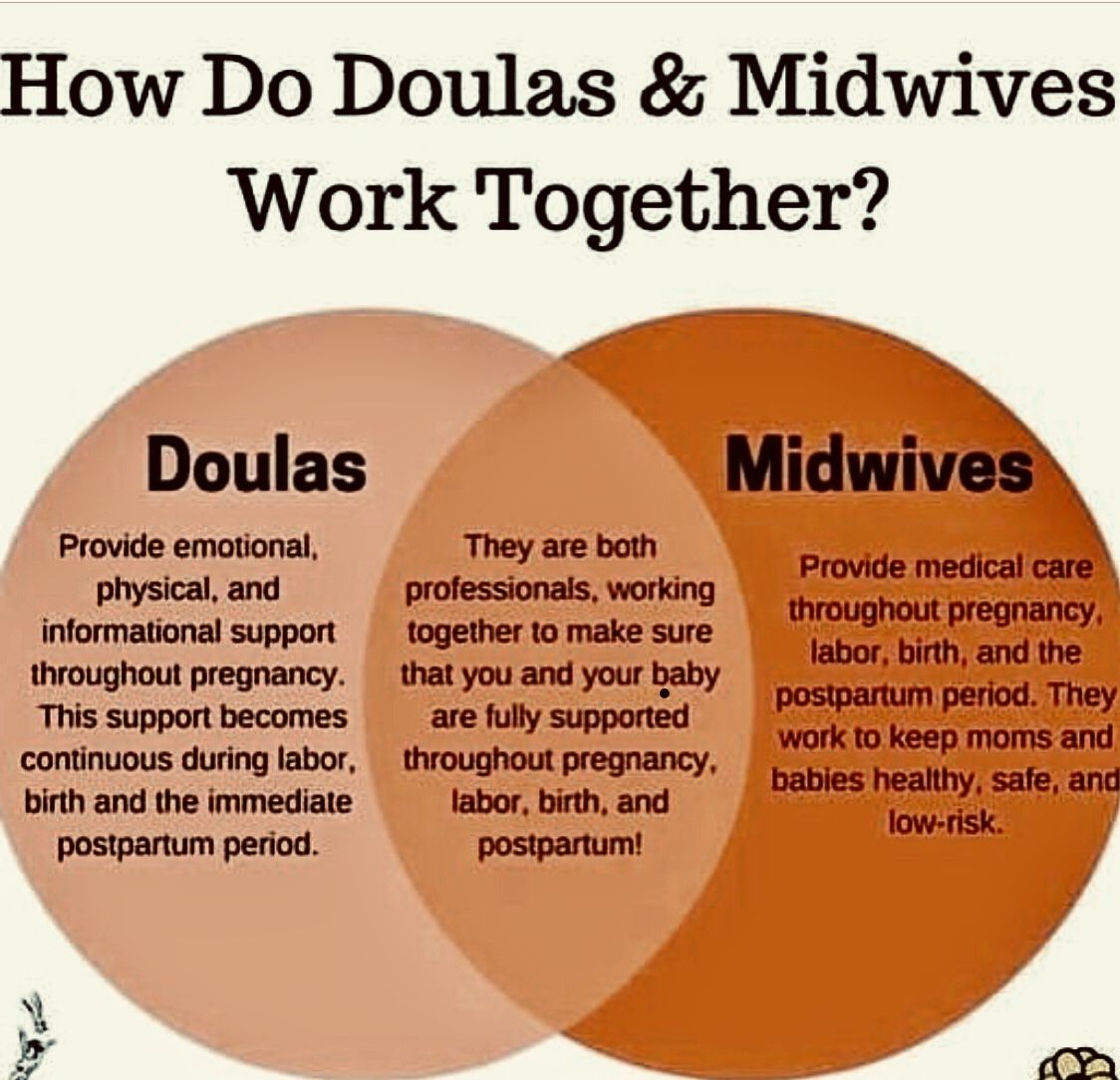 BirthWorks_co's tweet photo. #workingtogether We are not different professions fighting over the same ground. Our goals and aspirations are the same and together we strive to provide the safe, physiological, transformative, beautiful, nurturing birth that every woman deserves.
#BirthWorks https://t.co/uqQFqPurad