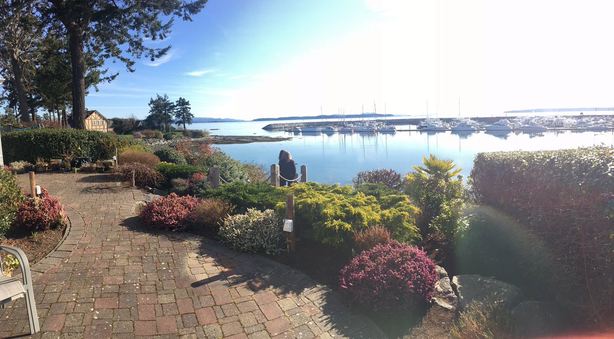 Do you just want to wake up and garden? We have a career opening for that! pacificridgelandscapes.com/careers #landscapecareer #thisissidney #landscaping #nowhiring #gardening