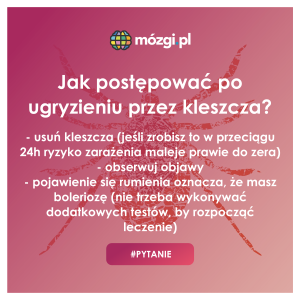 MozgiPL tweet picture