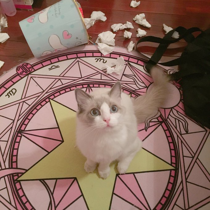 Twitterのコスプレ画像27