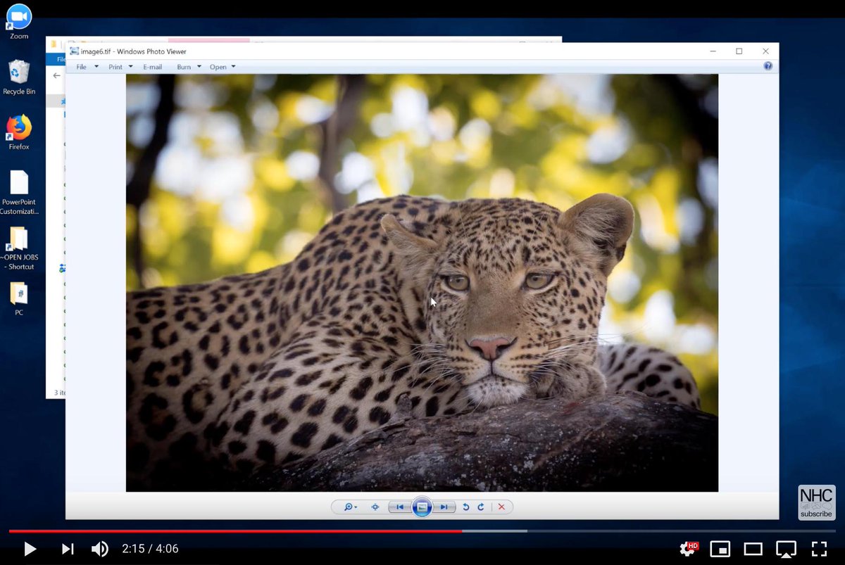 NolanHaims's tweet photo. Just recorded a quick tutorial on the #PowerPoint zip hack for determining which assets are causing your presentation to balloon in size. https://t.co/9173tB7HJV https://t.co/xU0GnFbjSE
