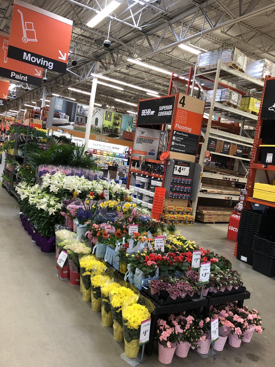 NJ Metro has tons of beautiful Easter floral ‼️#Easterweek <a href="/D_Liberato1/">Debbie Liberato</a> <a href="/wilkie_cindy/">Cindy Wilkie</a> <a href="/ChristineTHD/">Christine Sweeney</a> <a href="/nyyroro/">Ro Rodriguez</a>