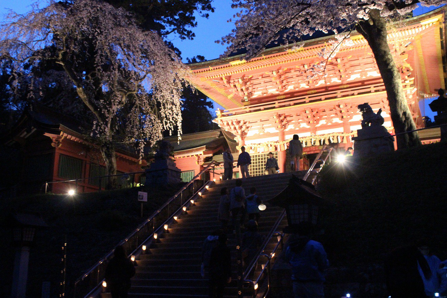 書籍 夜の神社 お寺めぐり Illuminated Gb Twitter