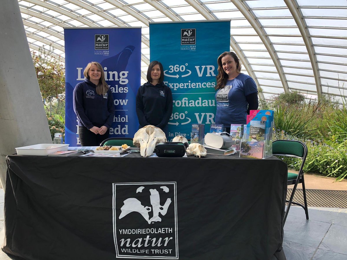 WildlifeTrustSWWales 🦡🐬 tweet media