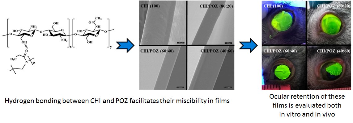 Our paper "Chitosan/poly(2-ethyl-2-oxazoline) films for ocular drug delivery: formulation, miscibility, in vitro and in vivo studies" with <a href="/Kaznuofficial/">Al-Farabi KazNU</a> &amp; Semey State Medical University colleagues is published by Eur. Polym. J and can be viewed here: authors.elsevier.com/a/1Yv3d3GBFKJoH