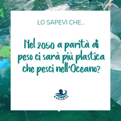 LO SAPEVI CHE...⁣
a parità di peso nel 2050 ci sarà più plastica che pesce!😖⁣
⁣
Worldrise è attiva per la salvaguardia dell'ambiente marino, sostieni i progetti donando il tuo 5x1000!♻️⁣
C.F. 08403950960 💙⁣

#NoPlasticMoreFun #TargetPlasticFree #OFF #Worldrise