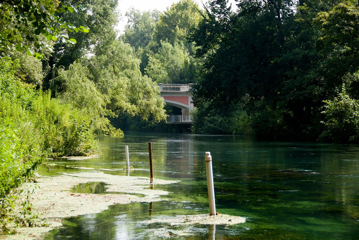 Il Noncello è una risorsa da valorizzare e salvaguardare. La 500miglia non potrà partire da Pordenone per la presenza di materiale schiantato che blocca il corso d’acqua. È necessario facilitare gli interventi e permettere al Comune di intervenire in modo tempestivo. <a href="/niconfic/">Nicola Conficoni</a>