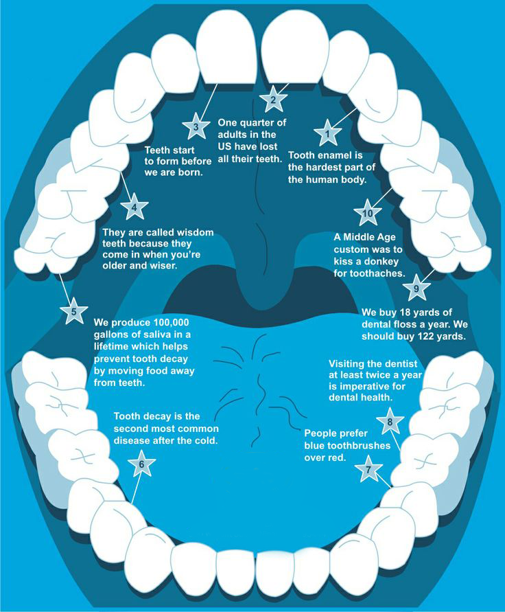 DentbayShop's tweet photo. #dentbay #dentistry #dentalhealth #dental #dentalcare https://t.co/tVpHUYFb3C