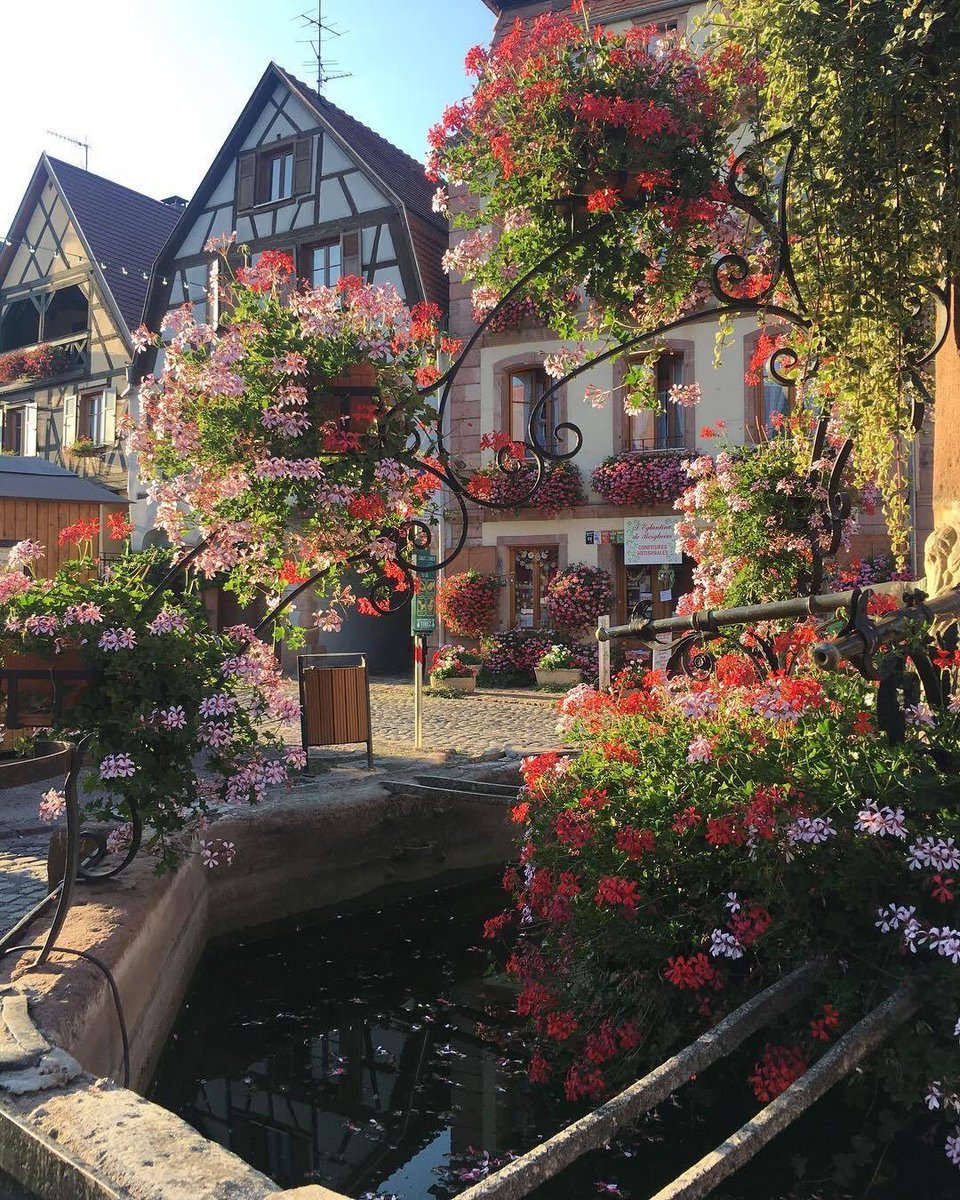 TRVLCreative's tweet photo. Wandering around Colmar, France https://t.co/FB2CEnZQg2