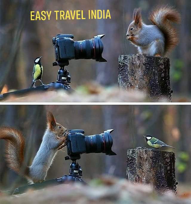 The best #photographers in the #world
#bestphotographer #photography #wildanimal #photographyindia #easytravelindia #hyderabad #India