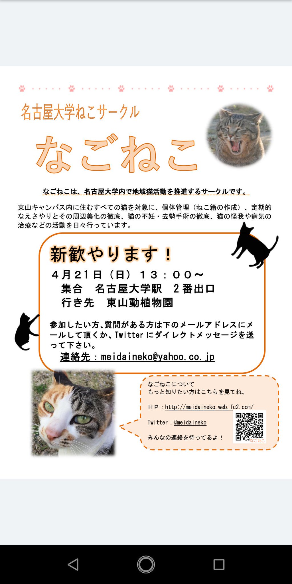 名古屋大学 ねこサークル なごねこ On Twitter なごねこ新歓のお知らせです 飛び入り参加もオッケーですが できるだけ連絡お願いします