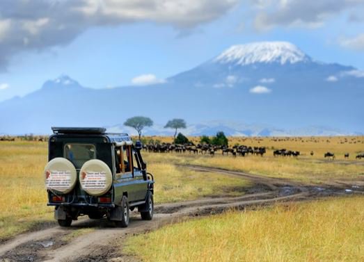 SunriseSafari's tweet photo. #Talktoustoday #Bookwithustoday
Where would you wish to travel next. Talk to us for the best holiday deals and air tickets all over the world. Let us take care of your travel. #airtickets #holidays #africasafaris #HotelBookings @SunriseSafari
https://t.co/bh4itrqhBD https://t.co/M0ibTdsYwB