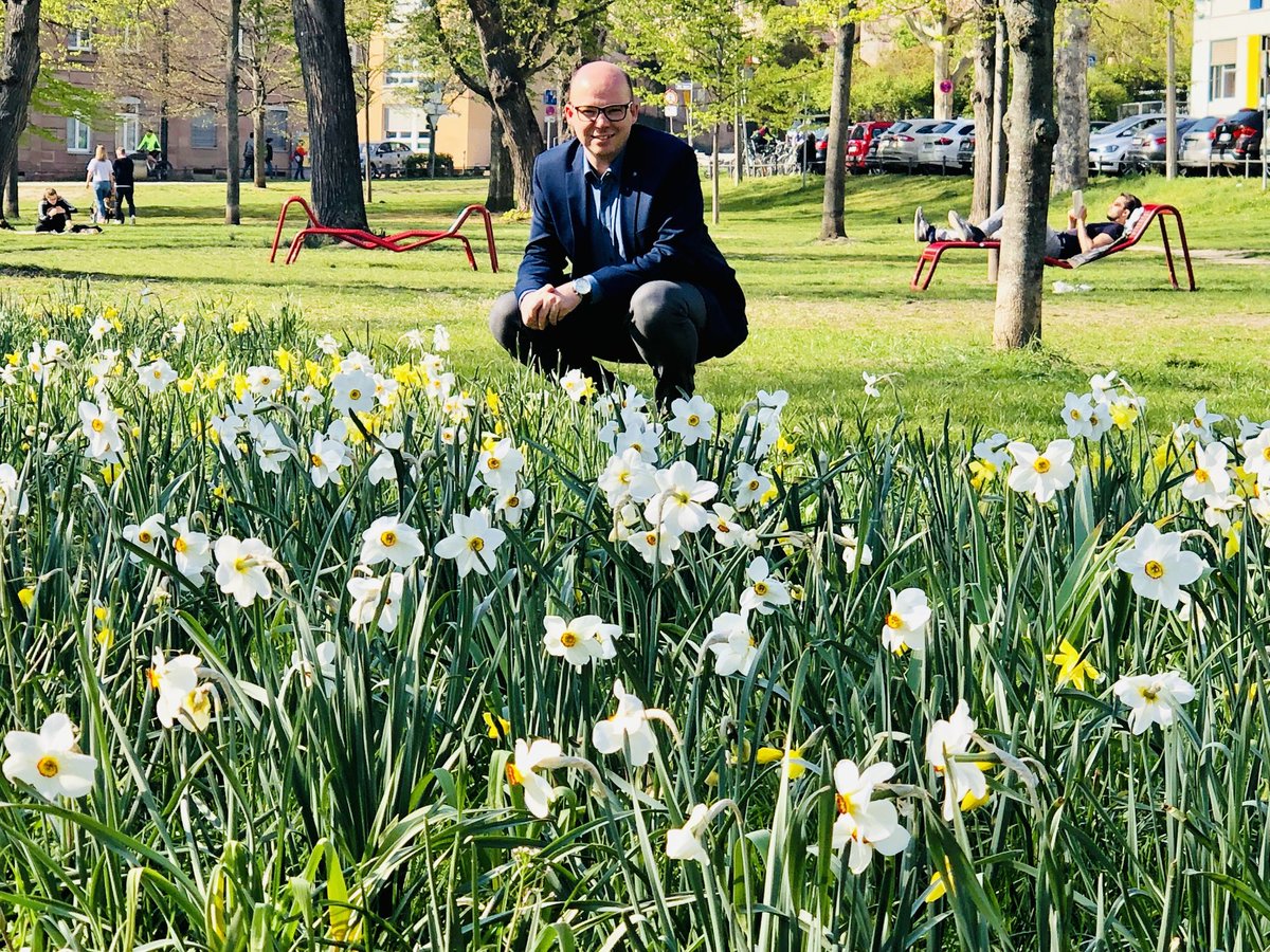 Der #Frühling ist da! 🌺🌻🌼 Und weil die Blumenzwiebeln in #Nürnberg so toll aussehen, finden wir, dass wir davon mehr anpflanzen können. Deshalb hat @thbrehm heute einen Antrag im Rathaus gestellt.