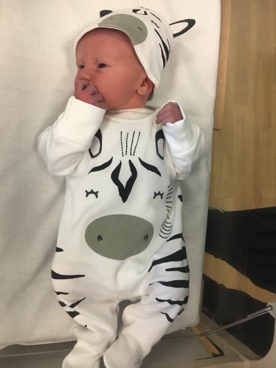 RCS_MrsBray's tweet photo. Mrs Bray would like to announce the safe arrival of Baby Jack William Bray born on Saturday 13th April and weighing 7 pounds,8 ounces! We are all home and doing well and can’t wait to meet you all soon Ash Class! 💙 https://t.co/yTUhCSEkBZ