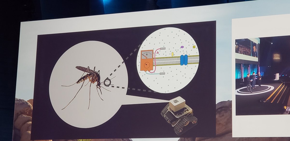 HELOU_Mireille's tweet image. Using mosquitoes to find human during disasters
#biohybridrobot
@Netexplo