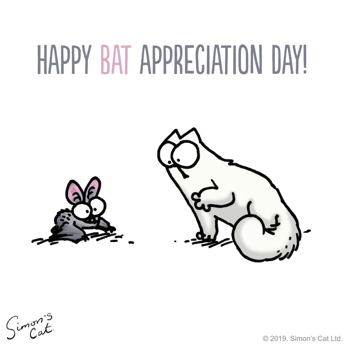 SimonsCat's tweet photo. Important day! 🤣🦇 Happy #BatAppreciationDay ! https://t.co/lLUoTLhbmA