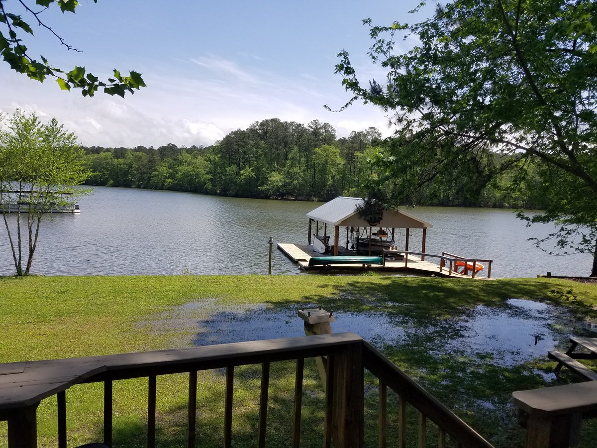 TheKellys9's tweet photo. @DanielPelliccia I agee. Our front yard. #lakemartin https://t.co/osCl8rcTww