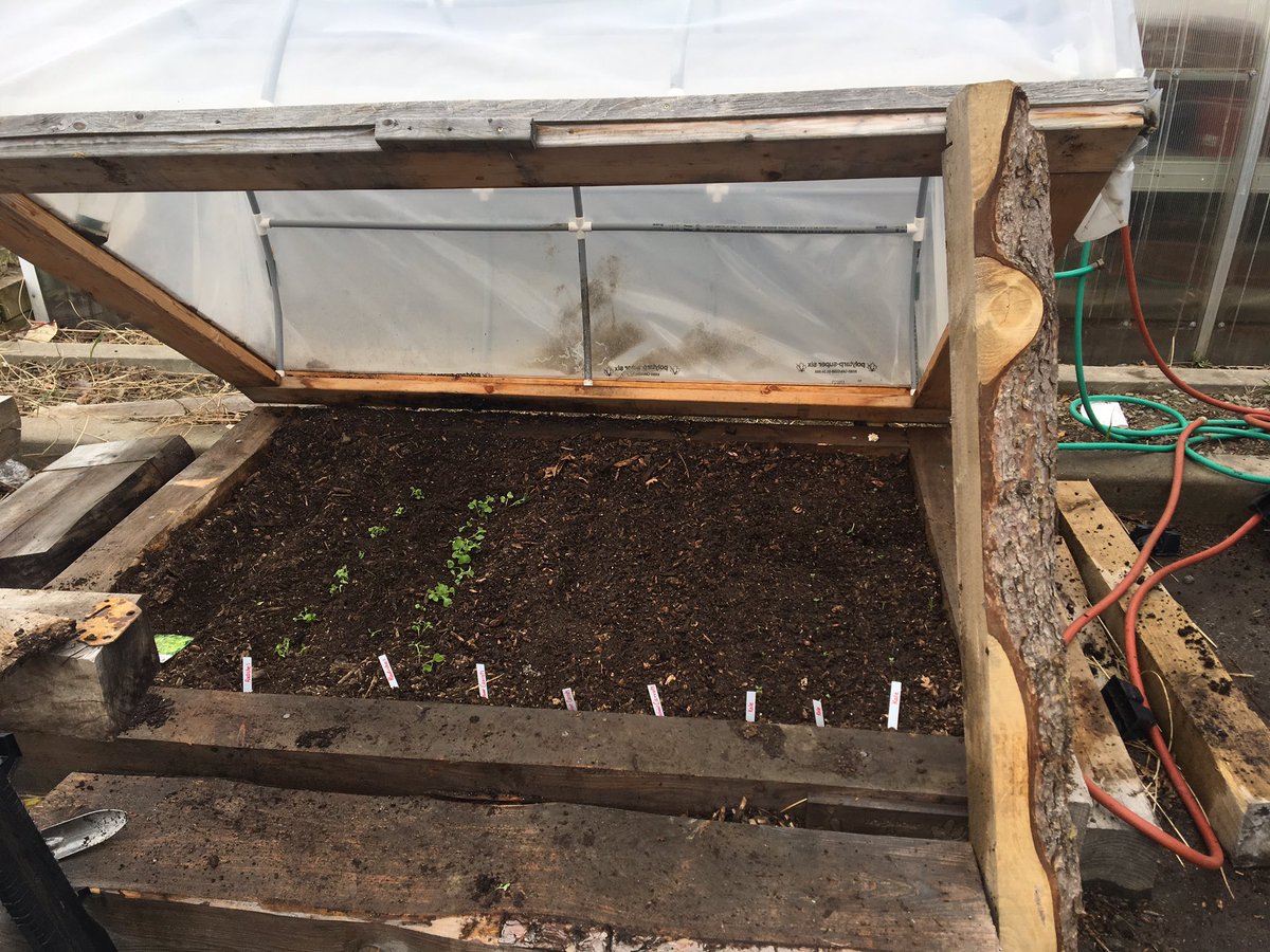 DanielleStull7's tweet photo. explaining veganism, the benefits and what is going terribly wrong from the perspective of a “weekend” vegan. I’m also working on starting a small veggie garden in one of our raised bed greenhouses and planning to build another for our ICE training on May 1st. https://t.co/xGiuAOOGMZ