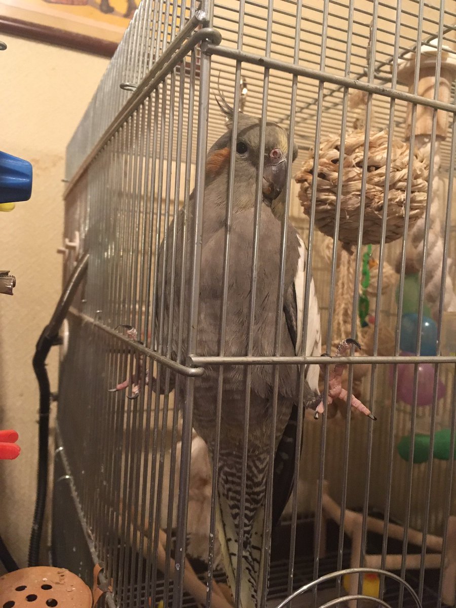足開きすぎー! 