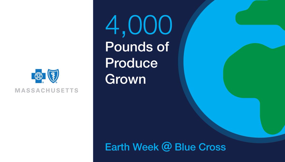 Our green thumbs were hard at work last year at our company garden program. We grew 4,000 pounds of produce, adopted sustainable growing practices, and supported local food and nutrition programs. See how our environmental work is blooming. #EarthWeek2019 bcbsma.info/2VChZ1e