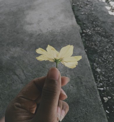 Jhammin2's tweet photo. 🌻 https://t.co/hjijseJv1N