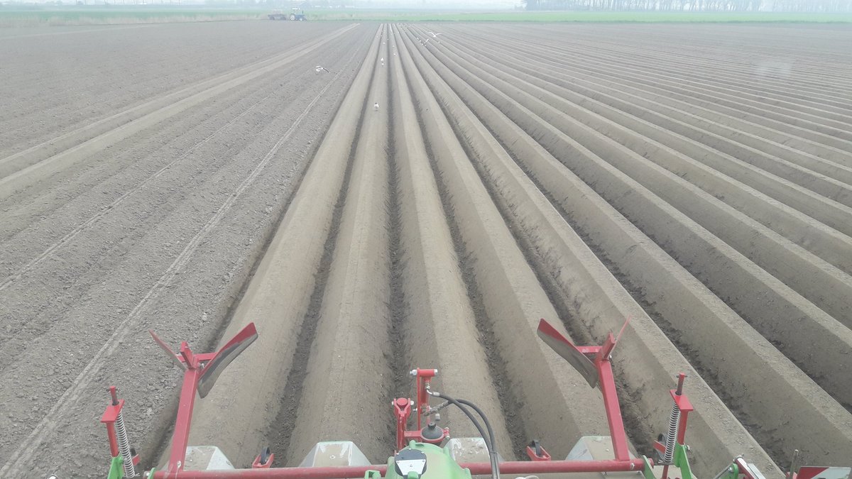 nilsvtilbeurgh's tweet photo. Blijft vreemd. Perceel waar al 2 jaar graszaad stond en geen #glyfosaat op is toegepast zit bijna geen meeuw. En perceel waar hele winter groenbemester heeft gestaan en dit voorjaar bespuiting met glyfosaat is toegepast is het heeeeel druk. #bodemleven @boerbewust https://t.co/yrhW6weCJi
