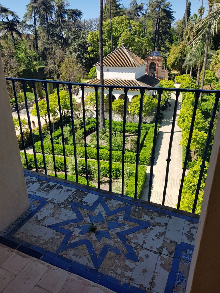 lolarobador's tweet photo. Antes que el sol de verano te abrase y busques la oscura sombra nocturna, saborea esta luz de abril donde nacen un millón de estrellas.

#JardíndelaHuertadelaAlcoba. #CenadordeCarlosV #CenadordelLeón #Sevillaescolor https://t.co/7xWod886t2