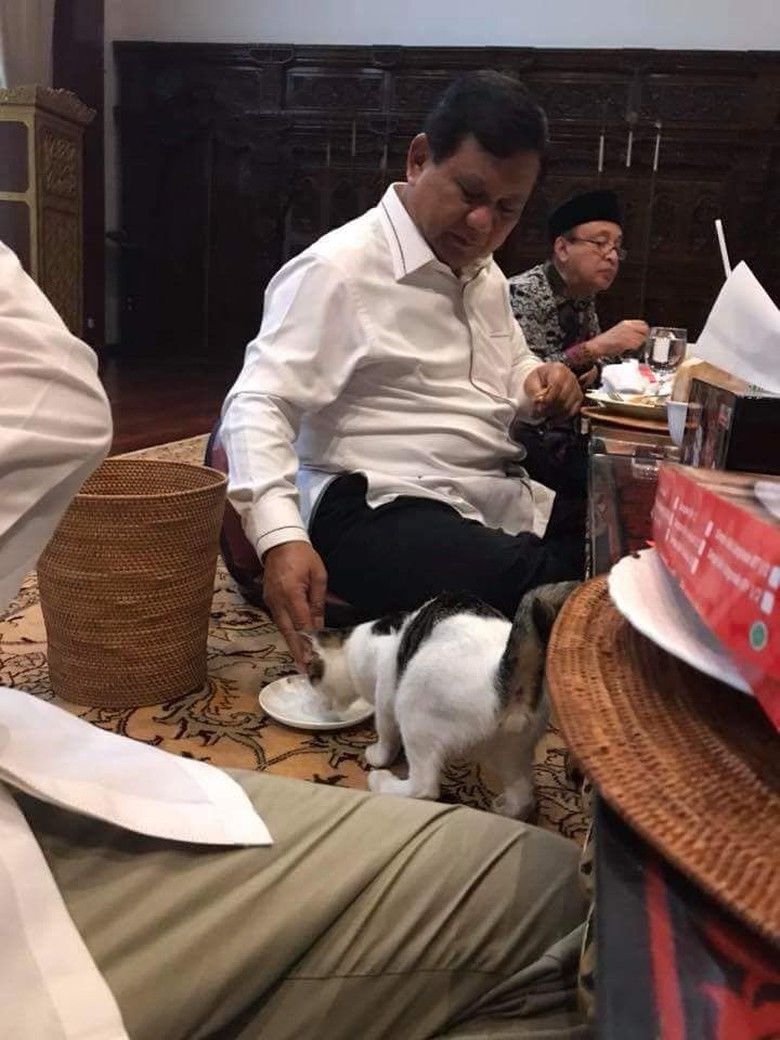 Pak Prabowo dan kucing.

Sebuah usaha tidak ikut manas-manasin suasana. Sekaligus menunjukkan bahwa Pak Prabowo juga sayang kucing.