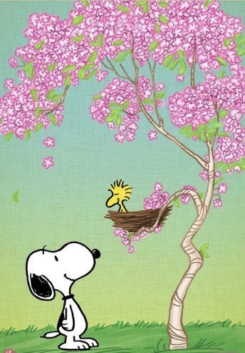 The Kingsman will not be publishing an issue today, our next issue will be out on May 1st. Have a fun and safe spring break Brooklyn College!