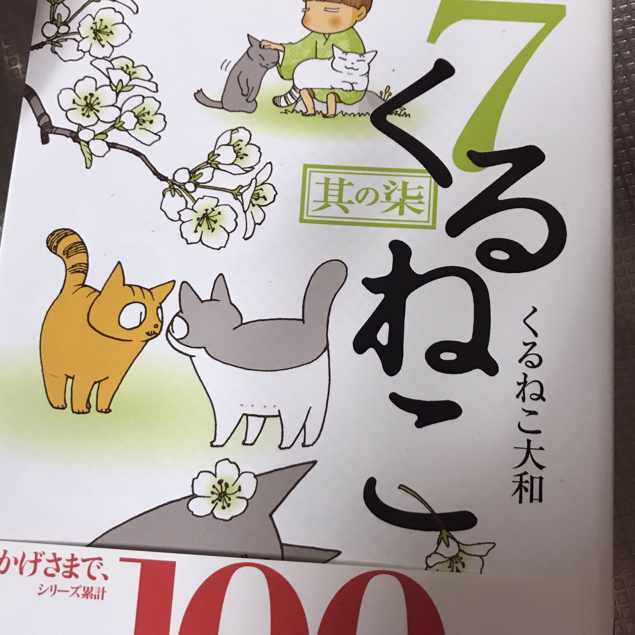 ねこいるか パルテノン くるねこ大和さんの くるねこ7巻 にあるくるねこクッキングのトマト塩ラーメン 好きで久しぶりに食べたくなった 塩ラーメンなくてみそラーメンで作った 粉チーズトッピング めちゃ美味かった トマト1個入れるから罪悪感低め