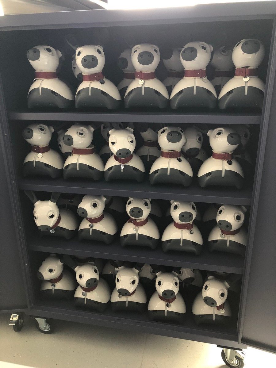 tonyjprescott's tweet image. What do you call a bookcase full of MiRo robots? A libroby? 40 MiRo robots have arrived at the @shefunidiamond along with 50 Turtlebot3s.  The robots will support teaching of robotics and biomimetics in our Computer Science and AI degrees @SheffUniEng @CqRMiRo @shefcompsci