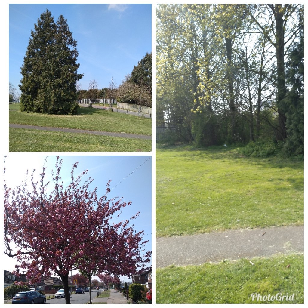 Janice_tige's tweet photo. Monday mornings #walking group on @AshWard2019 beautiful scenery #springishere benefits of walking self-perception and self-esteem, mood and sleep quality, and it reduces stress, anxiety and fatigue. #mentalhealth @WillsherAlice @ElftOt @NHS_ELFT https://t.co/Z33sc1JLch