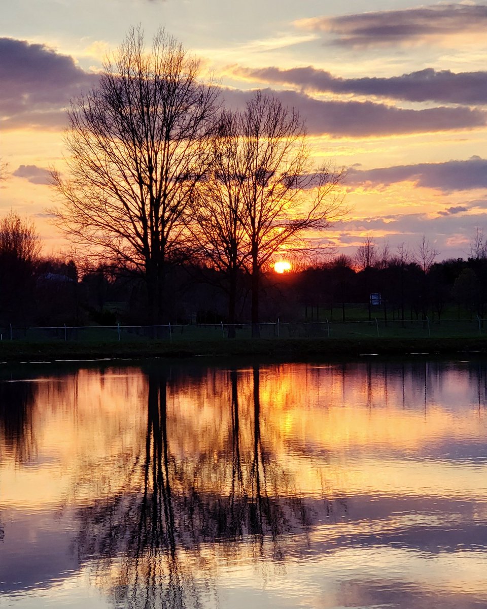 TreesDee's tweet photo. Majestic sunset at Lucas Nursery #deestrees #branchographer #branchologist #trees #branches #nature #naturelovers #majestic #lake #sunset #treelovers https://t.co/JAM7RLe18b