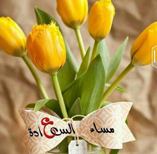 لكل أنسان بصمه يمتاز بها عن الغير
البعض بصمته الحكمه 
وآخرين بصمتهم الصدق
والبعض بصمتهم العقل
ولكن الأخلاق الحسنه تجمع 
جميع البصمات

مساءكم فرح