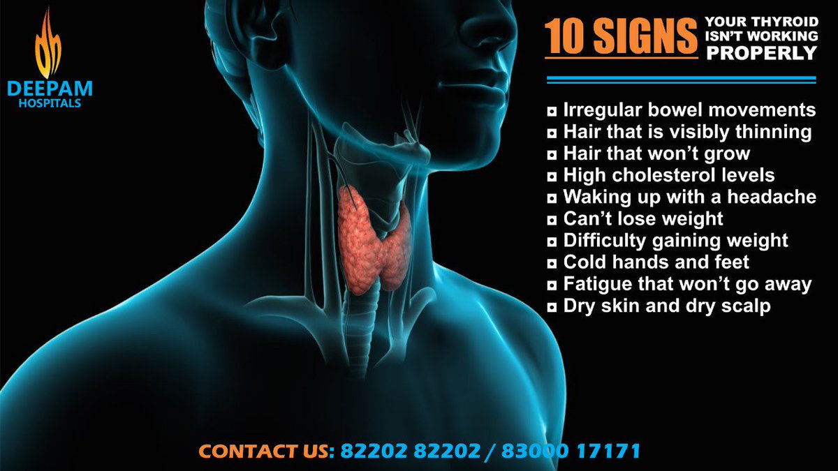 DrEddyClinic's tweet photo. RT @HospitalsDeepam: Thyroid Symptoms
#thyroidfacts #thyroid #facts #thyroid #hypothyroidism #health #weightloss #autoimmunedisease #functionalmedicine #thyroidproblems #autoimmune #hypothyroid #thyroidhealth #diabetes #energy #healthylifestyle #thyroidc… https://t.co/4tA1GlHr9h