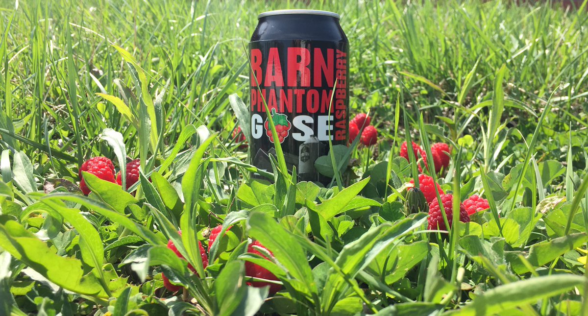 TritonBrewing's tweet photo. Everything’s coming up #Raspberries  

The #BarnPhantomGoseWithRaspberry taps in the #TastingRoom (3-10PM) today!!! https://t.co/uMGfm8NIsu