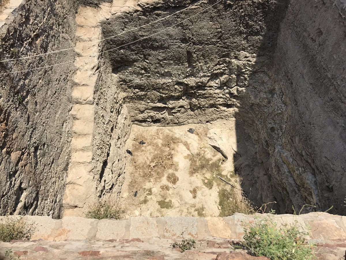 Sivanandhareddy's tweet image. 2/2 @YSRCPSinganmala @bandaru_sravani @ncbn @ysjagan  @VSReddy_MP   రావాల్సిన HLC కాలువ నీళ్ళు, గత 5 సం।। గా సరిగా రాలేదు. దాని ఫలితమే ఇలా బావులు అన్నీ ఎండి పోయాయి. తీవ్రమైన కరువు బారిన పడ్డాం. మీ ఇద్దరికీ మా విన్నపం: యామినీ బాల గారిలా కాకుండ మాకు మంచి చేస్తారని ఆశిస్తున్నాం.