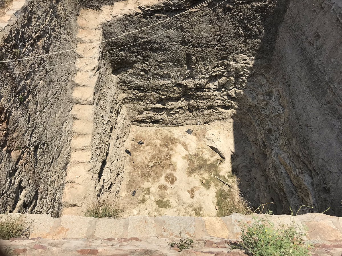 Sivanandhareddy's tweet image. 2/2 @YSRCPSinganmala @bandaru_sravani @ncbn @ysjagan  @VSReddy_MP   రావాల్సిన HLC కాలువ నీళ్ళు, గత 5 సం।। గా సరిగా రాలేదు. దాని ఫలితమే ఇలా బావులు అన్నీ ఎండి పోయాయి. తీవ్రమైన కరువు బారిన పడ్డాం. మీ ఇద్దరికీ మా విన్నపం: యామినీ బాల గారిలా కాకుండ మాకు మంచి చేస్తారని ఆశిస్తున్నాం.