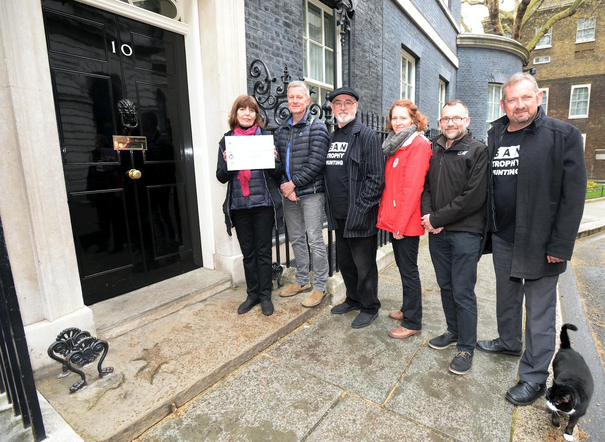 BornFreeFDN's tweet photo. Shout out to the Palmerston cat for helping us deliver our trophy hunting petition to Number @10DowningStreet this weekend β a truly 'pawfect' photobomb! #MarchAgainstExtinction #TrophyHunting #KeepWildlifeinTheWild https://t.co/JCowXePtj1