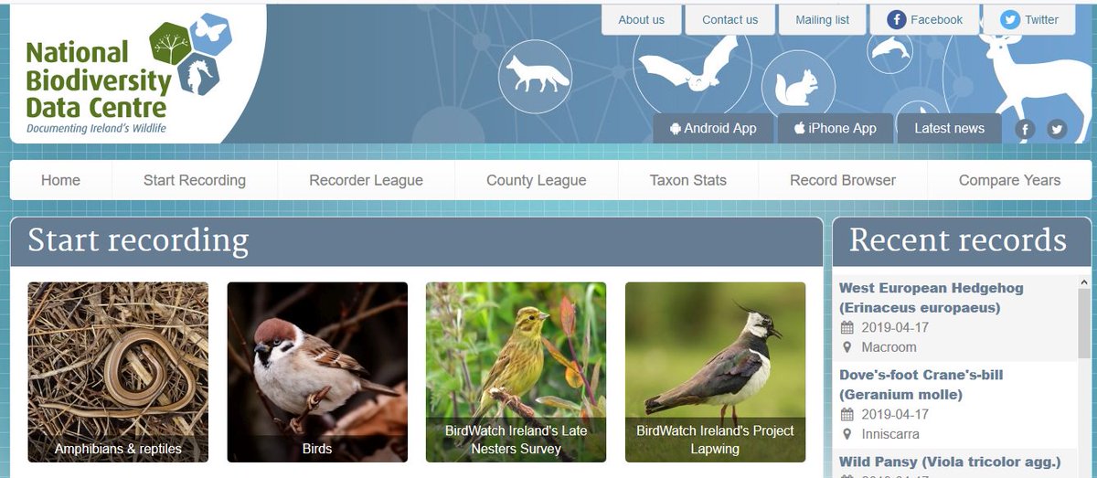 LapwingSurvey's tweet photo. Thanks to the @BioDataCentre team who have provided a @BirdWatchIE #ProjectLapwing Icon to the "Start Recording" landing page on their website so participants can find the project and submit records with ease. @LiamLy @realjoelennon https://t.co/5g7Jt3fnwL