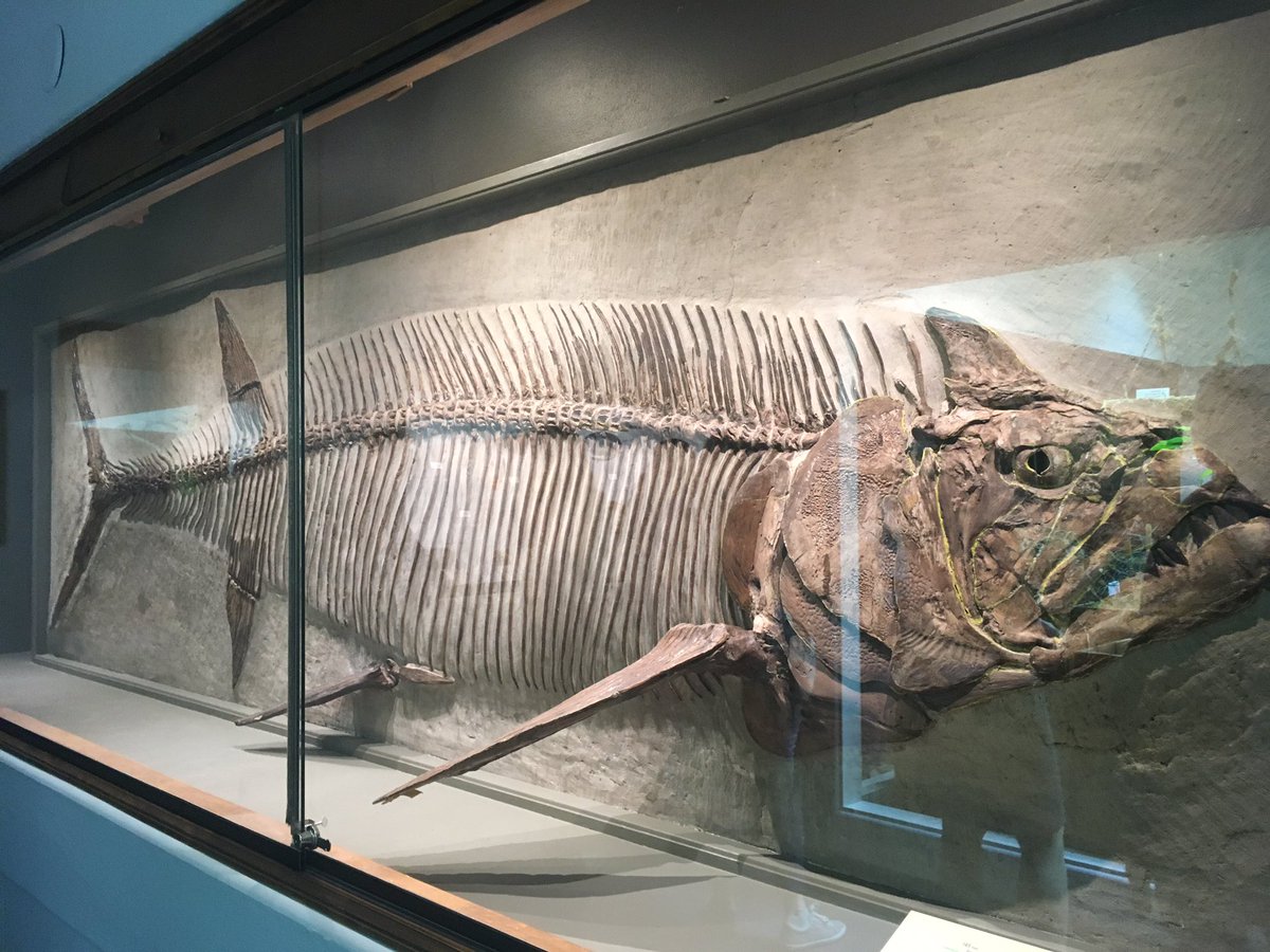 KUWellness's tweet photo. So much more to see than our tour allowed. If you have not been here before, you need to see it. And if you have been here, you need to come back! #MoveNLearn #exploreKU https://t.co/VKJudb1jiY
