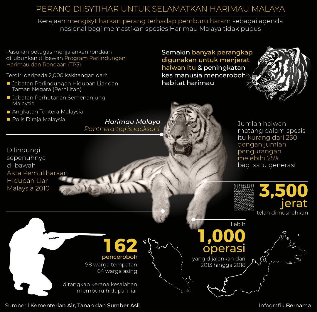 Please save our Malayan Tigers! #SelamatkanHarimauMalaya