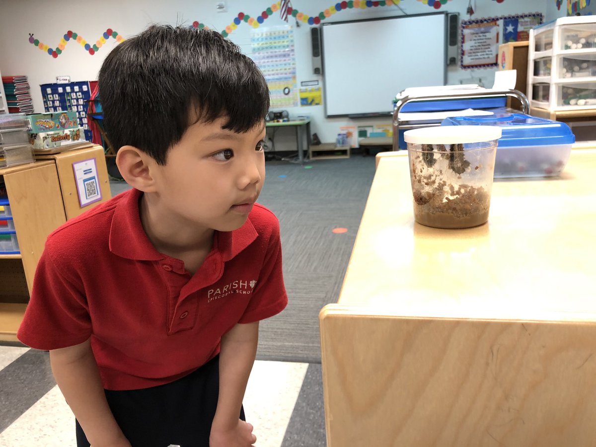 Kelly/Wood Kinder tweet media