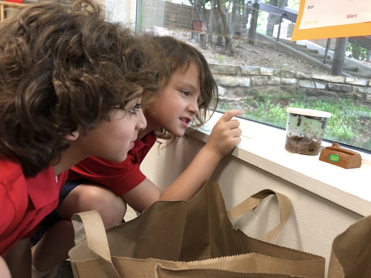 Kelly/Wood Kinder tweet media