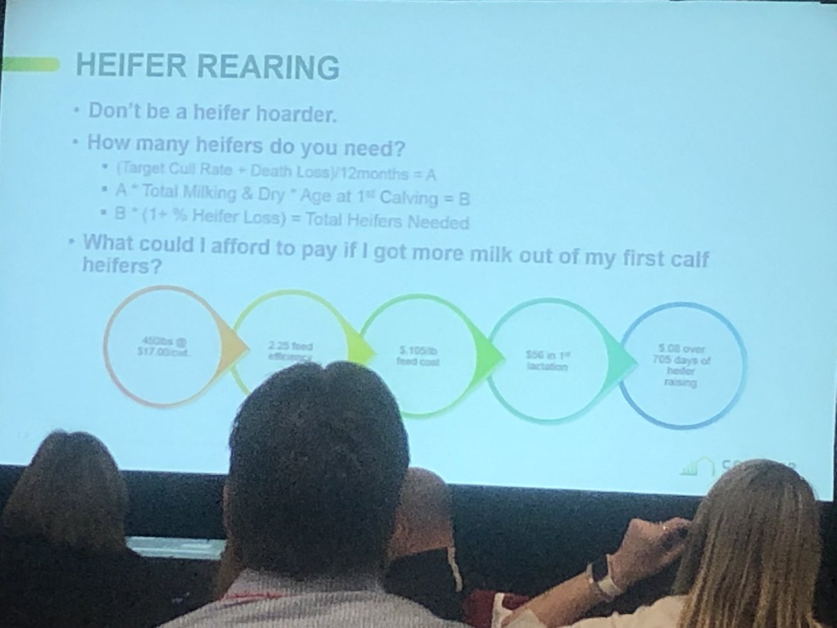 katelynmackay's tweet photo. Don’t be a heifer hoarder #fms19 #lelyknowhow https://t.co/FyDAyd7kd4