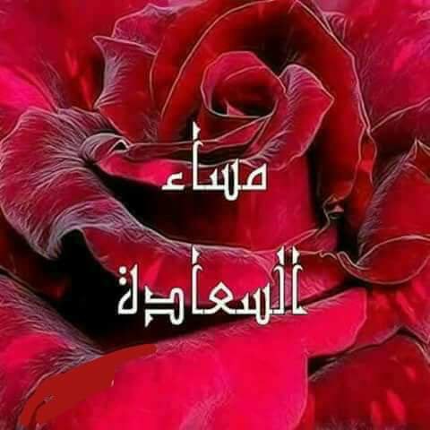 ni3ma__'s tweet image. سلاماً على أحرف لا تقال
وهي أبلغ مما يقال..💔💔

ٰ